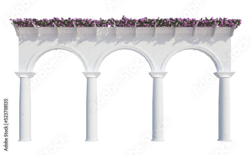 3d Render Ivy Plants Isolated  on white
