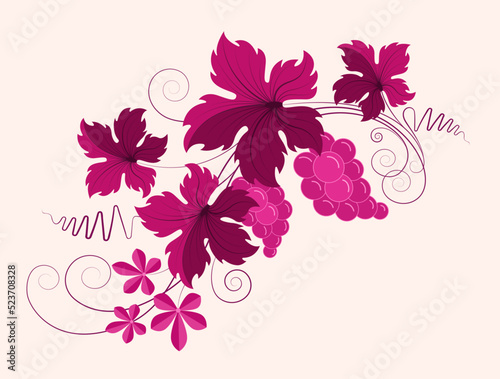 Ornament grape branch with bunches of grapes and leaves. Wine and winemaking concept design element. Vintage pattern for menus and wine labels. Red wine color vector.