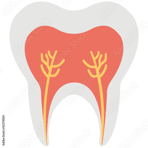 Tooth Roots 