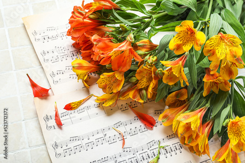 Beautiful alstroemeria flow...