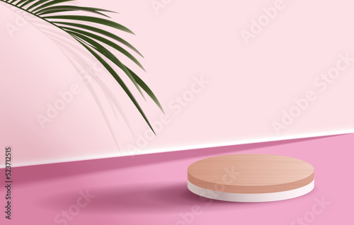 Cosmetic pink background and premium podium display for product presentation branding and packaging presentation. studio stage with shadow of leaf background. vector design