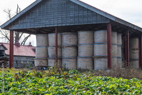 日本の農場にある牛舎と綺麗な風景
