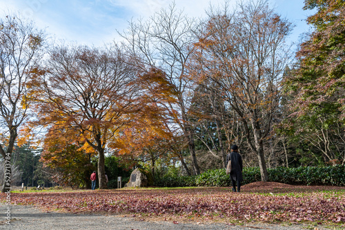 日本の秋の綺麗な風景