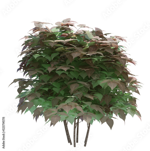 3d Render Brush Tree Isolated  on white