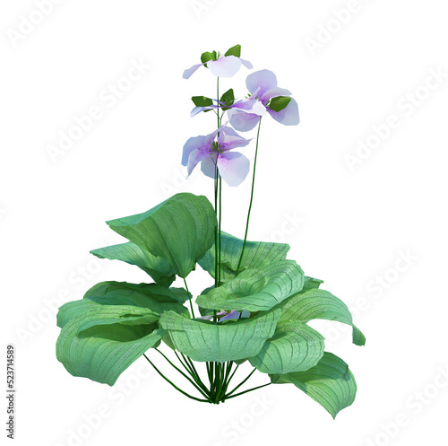 3d Render Brush Tree Isolated  on white