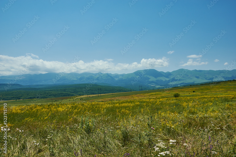  Scenic view of green meadows big mountain  Dagestan