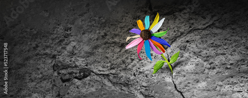 Power of diversity concept as a flower with diverse colors emerging out of a cement crack representing resilience  facing challenges as a metaphor for overcoming social obstacles. photo