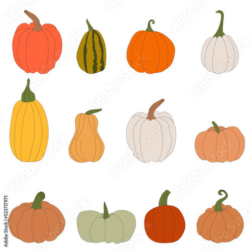 pumpkins, halloween, fall harvest gourds. Autumn thanksgiving and halloween pumpkins collection