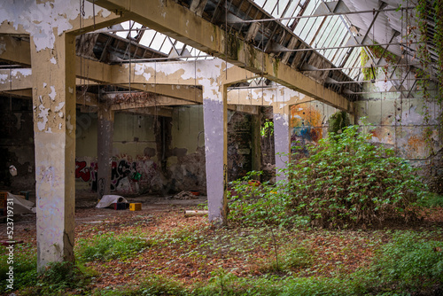 Abandoned industrial building interior. Apocalyptic scene. Ruins of large factory hangar or warehouse room covered with trash, junk, dirt overgrown with vegetation. © Dragan