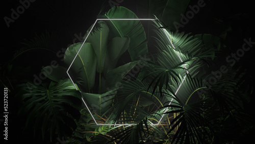 Futuristic Background Design. Tropical Leaves with White, Hexagon shaped Neon Frame. photo