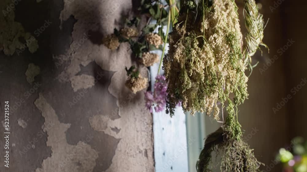 Drying medicinal herbs, a wreath of herbs