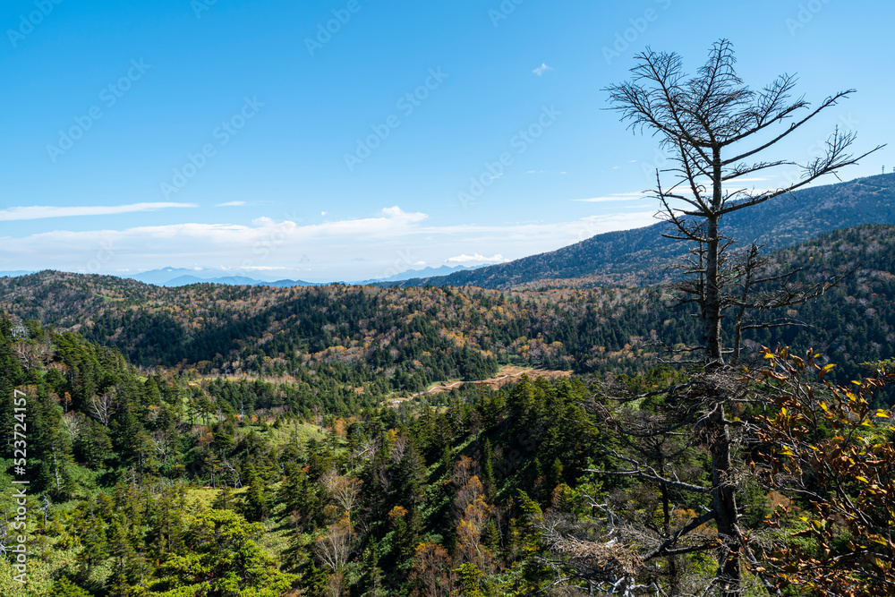 風景, 自然, 空, 山