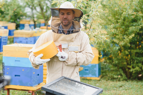 Beekeeping, beekeeper at work, bees in flight.