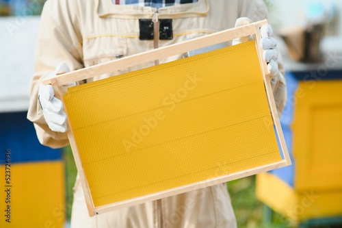 Obraz na płótnie Beekeeping, beekeeper at work, bees in flight.