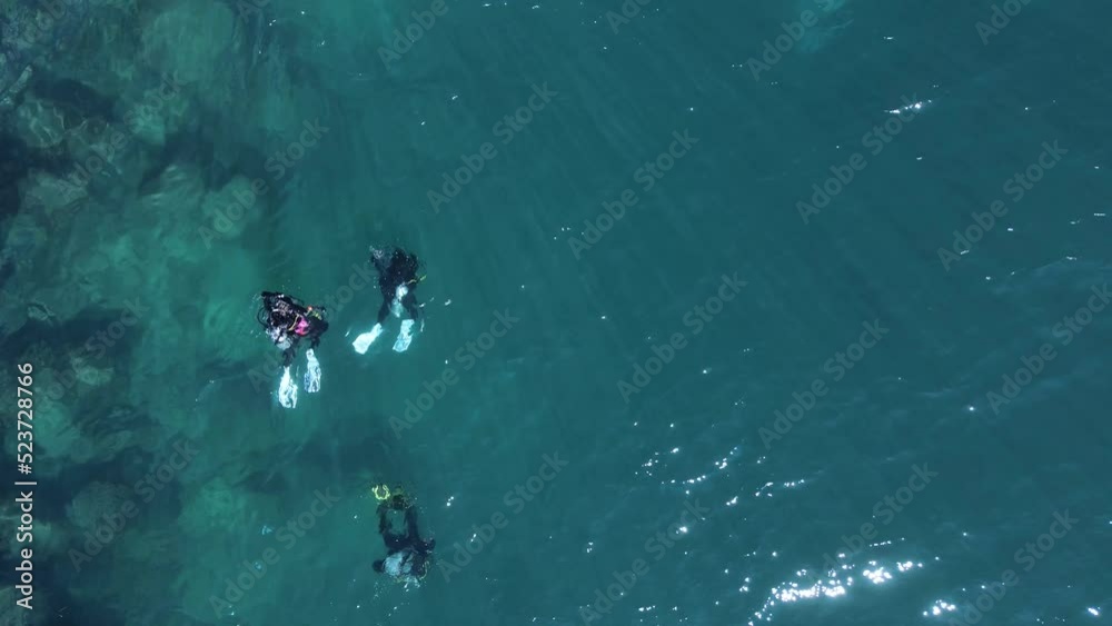 High view of scuba divers underwater exploring an ocean reef close to the rocky shore. High view of scuba divers underwater exploring an ocean reef close to the rocky shore.