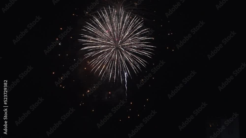 Fireworks during American independence day exploding in night sky 
