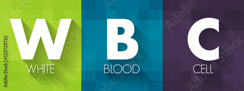 WBC White Blood Cell - cellular component of blood that helps defend the body against infection, acronym text concept background