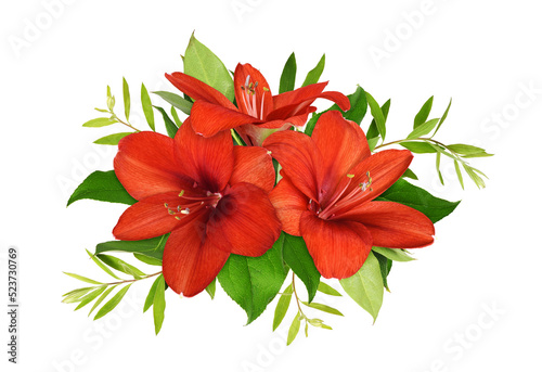 Three red amaryllis flowers and green leaves in a floral arrangement isolated