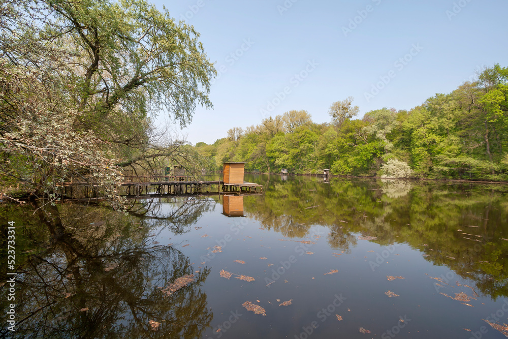 Fototapeta premium Altrheinarm, Südpfalz
