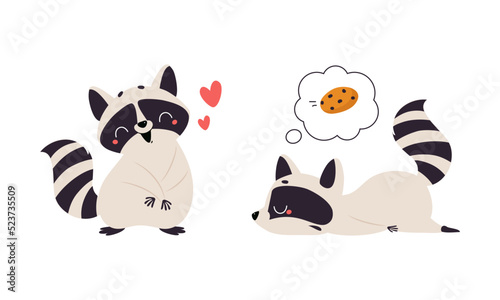 Funny raccoon in different activities set. Cute wild animal character cartoon vector illustration