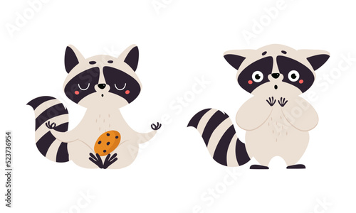Funny raccoon set. Cute adorable wild animal character cartoon vector illustration