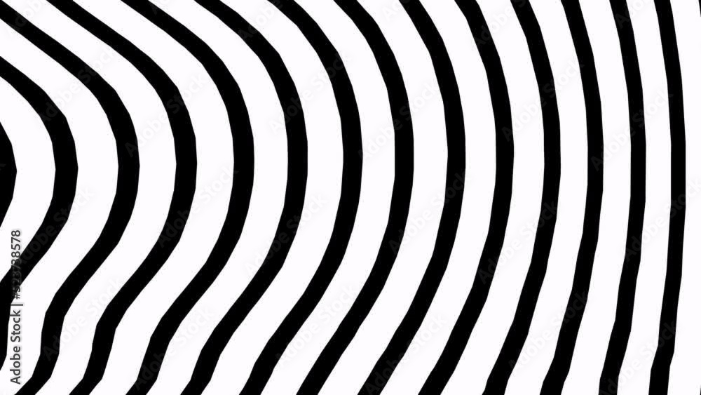 Abstract background with black and white stripes.Seamless loop video.
Abstract background with black and white stripes.Seamless loop video.