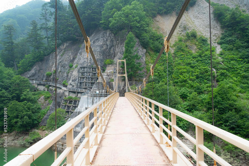 Obraz premium 橋, 建築, 一時的中止, 旅行, 水, 川, 空