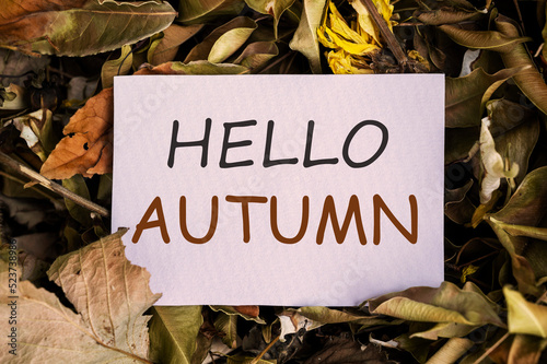 Hello Autumn text on white paper note overdried, autumn leaves. photo