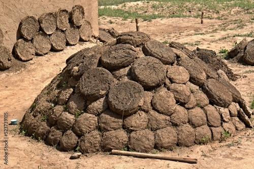 Drying animal dung for heating in the Mountain Village of Minkuchar in the Zarafshan Range, Kashkadarya Region. Uzbekistan. photo