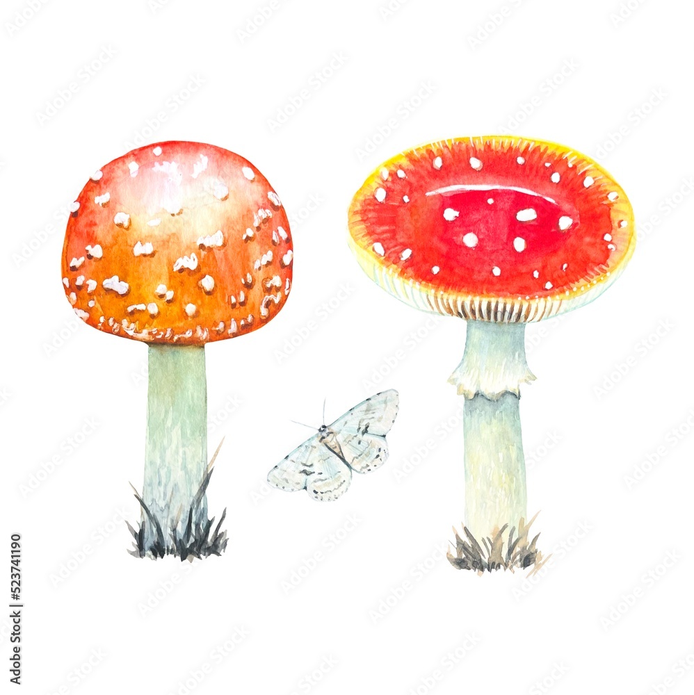 Set of watercolor fly agarics isolated on white background Set of watercolor fly agarics isolated on white background