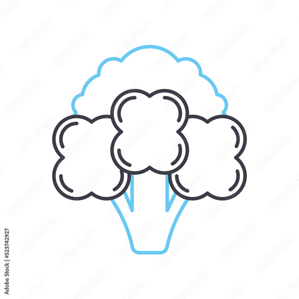 broccoli line icon, outline symbol, vector illustration, concept sign