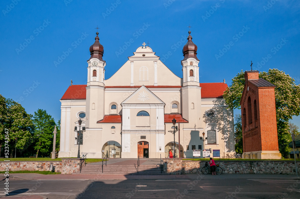 Collegiate Church Of The Immaculate Conception Collegiate Church of the Immaculate Conception of the Blessed Virgin