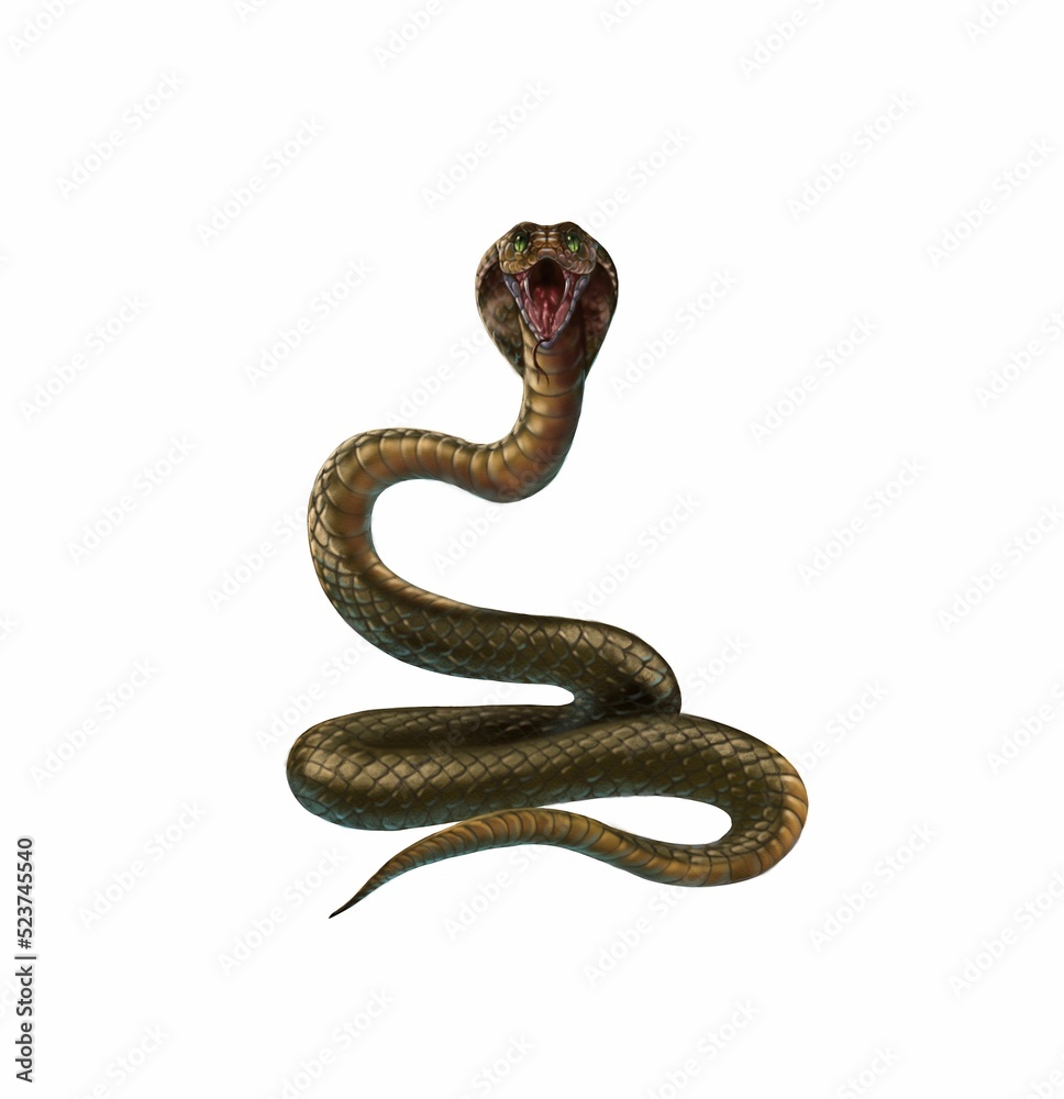 Fototapeta premium Snake Cobra isolated on white. Digital illustration.