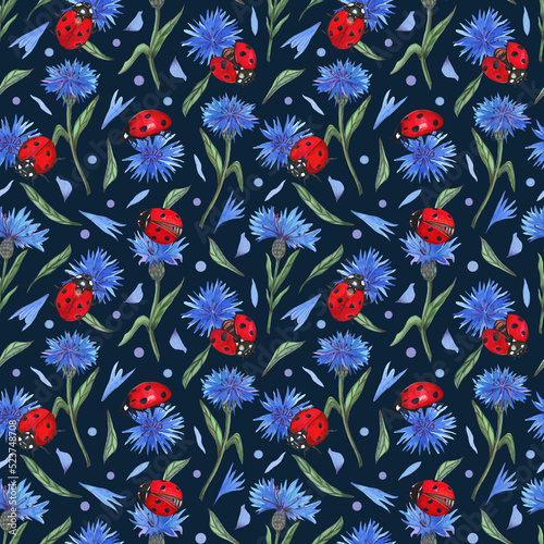 Cornflowers and ladybugs seamless pattern. Watercolour floral fabric design. photo