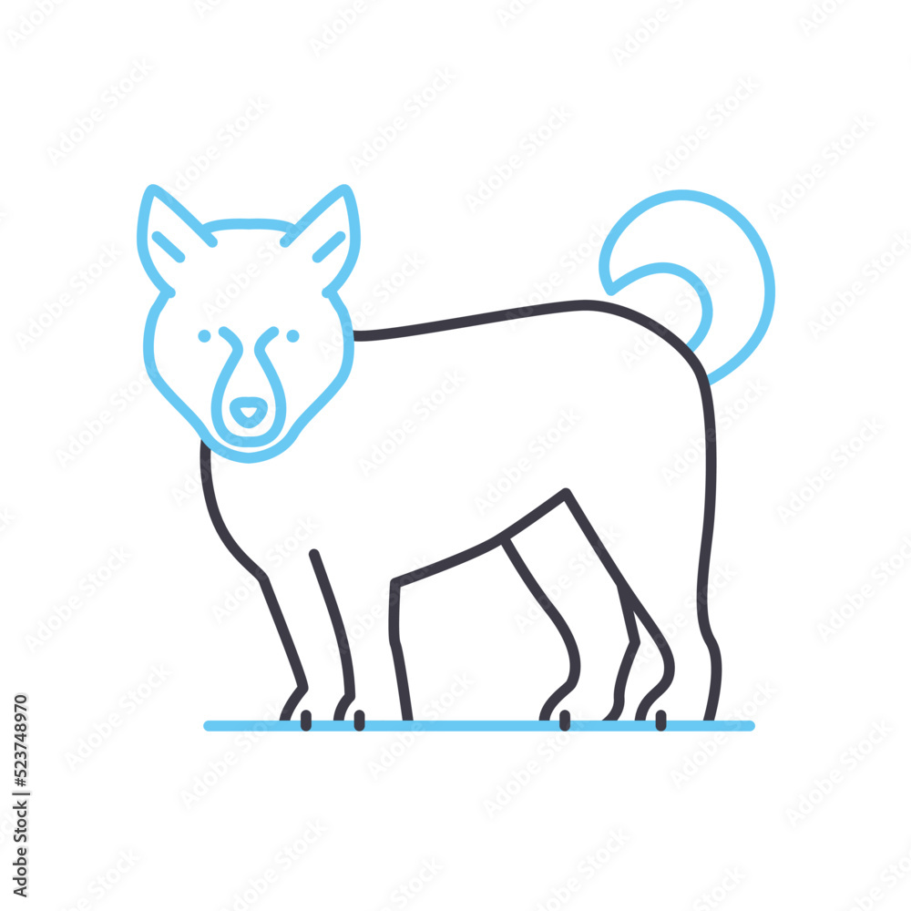 arctic dog line icon, outline symbol, vector illustration, concept sign