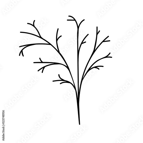 Outline of a tree branch hand drawn. Sketch drawing. Doodle design element.