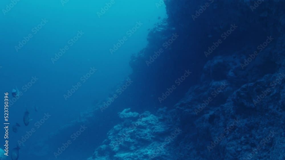 Underwater view of the steep rock from the depth