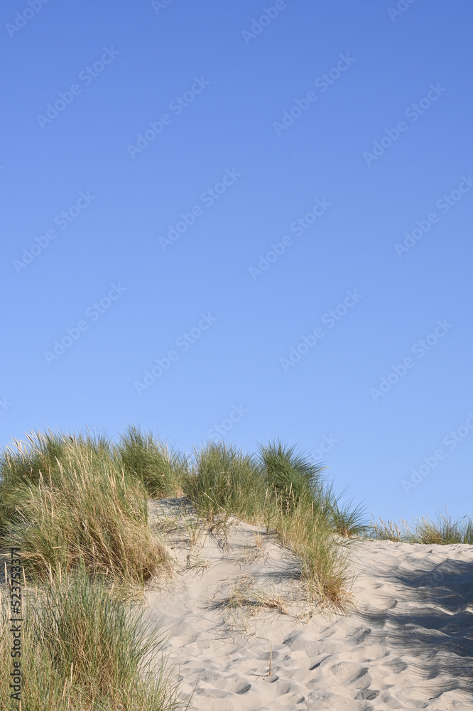 Belgique Flandre cote belge dune sable environnement plage