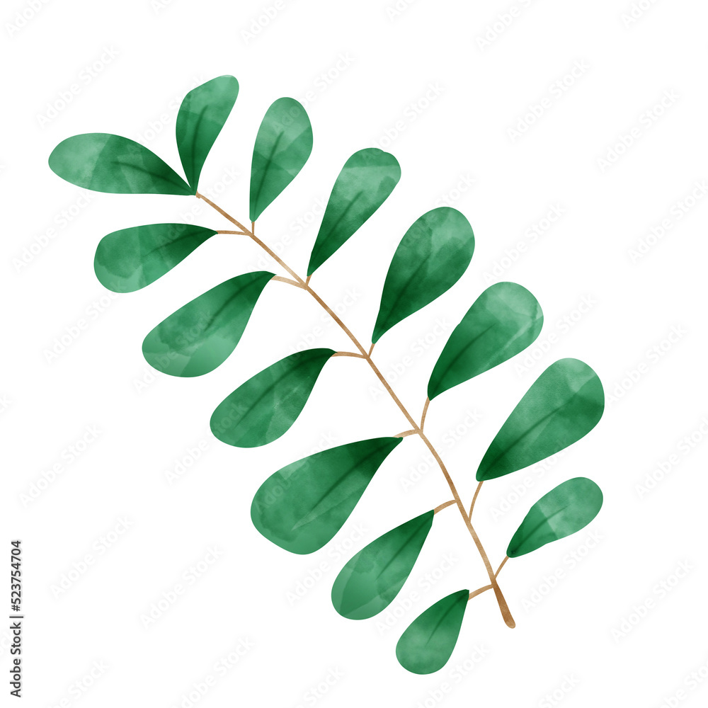 Branch of a tree with leaves