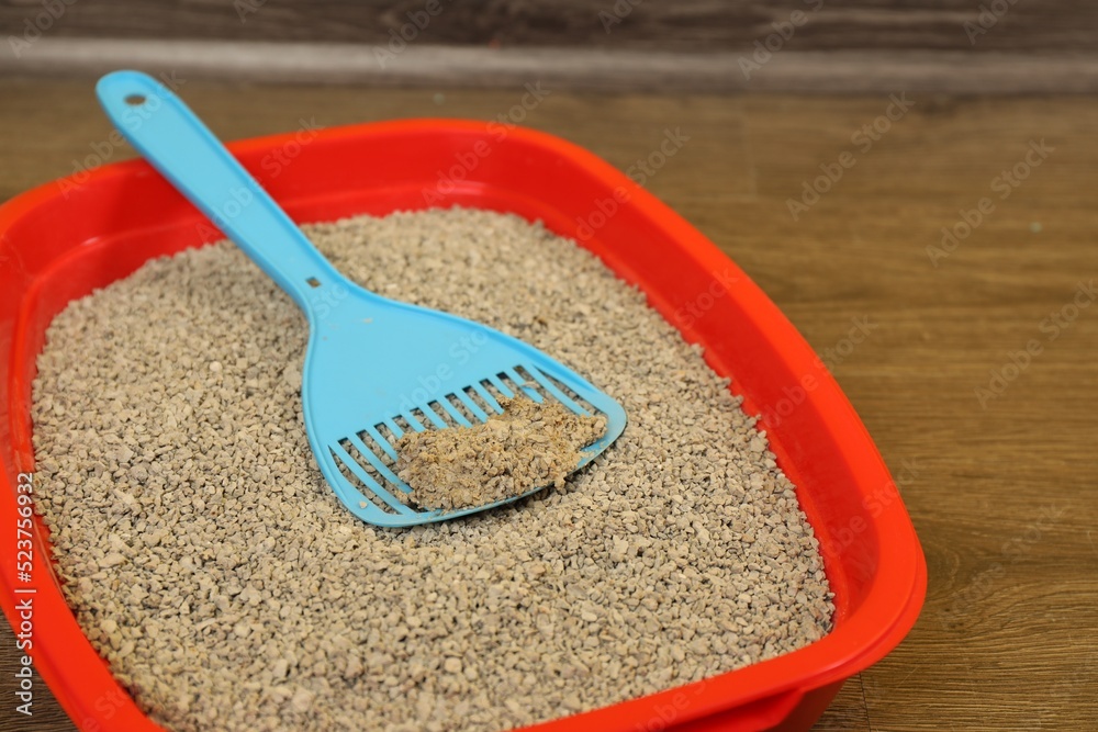 Cat tray with clumping litter and scoop on floor, closeup Cat tray with clumping litter and scoop on floor, closeup