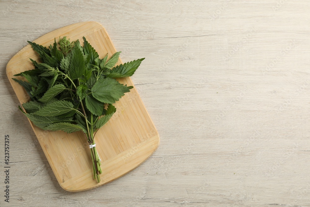 Fresh stinging nettles on white wooden table, top view. Space for text Fresh stinging nettles on white wooden table, top view. Space for text