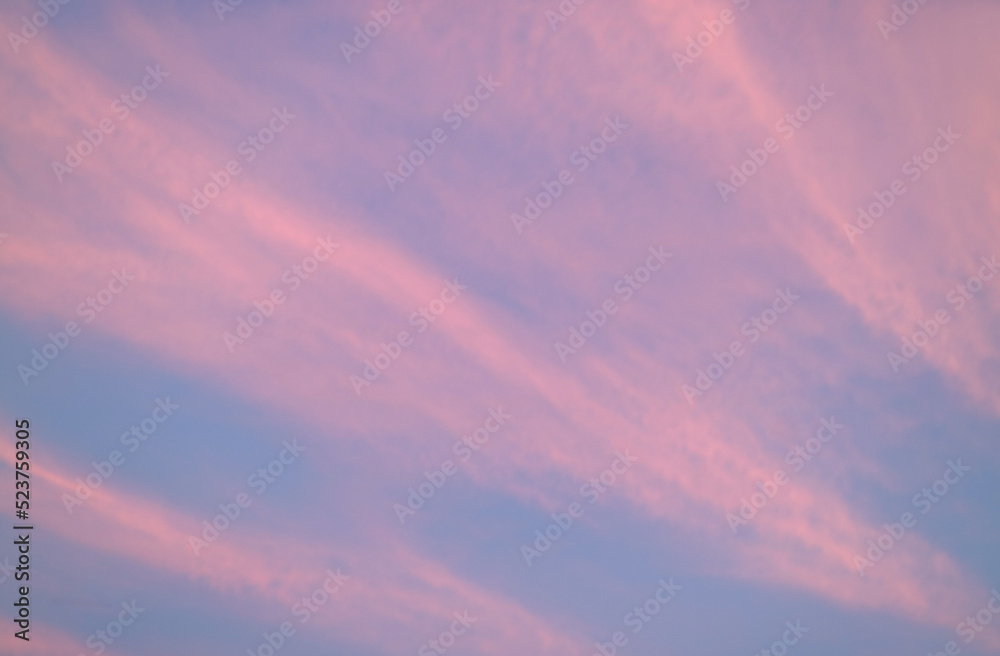 Pink Cloud of Sunset Afterglow Spreading Across the Sky