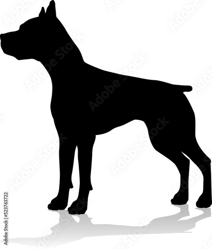 A detailed animal silhouett...