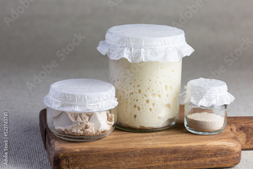 Different types of yeast for making bread. Wheat sourdough dry yeast and pressed photo