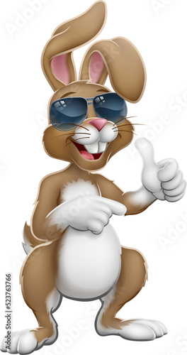 Easter bunny rabbit cartoon...