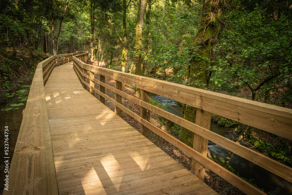 Wooden footbridge in Stanislaus fountain park Wooden footbridge in Stanislaus fountain park
