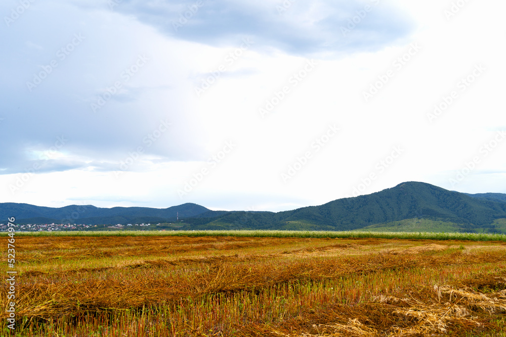 sloping field. field against the backdrop of mountains