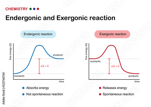 Scientific diagram show difference between chemical reaction of endergonic and exergonic in term of absorb or release energy from reactant to product via enzyme catalyst 