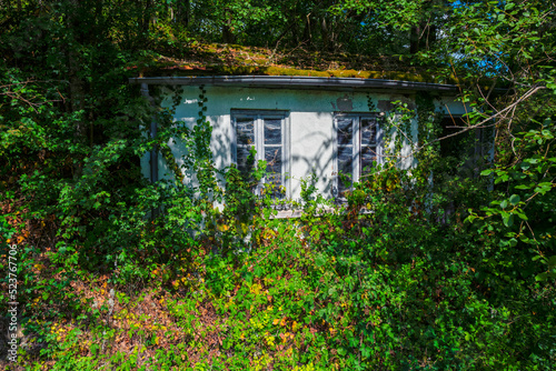 petite maison abandonnée envahie par la végétation