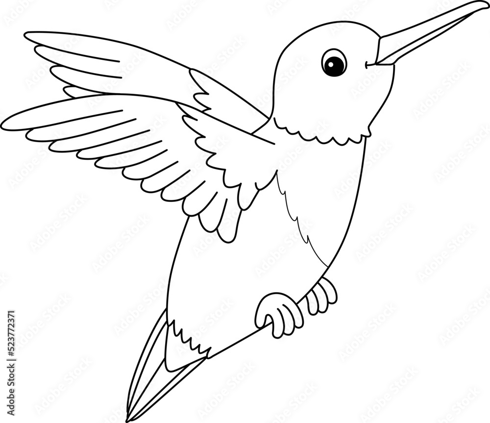 Hummingbird Animal Coloring Page For Kids Stock Vector Adobe Stock hummingbird-animal-coloring-page-for-kids-stock-vector-adobe-stock